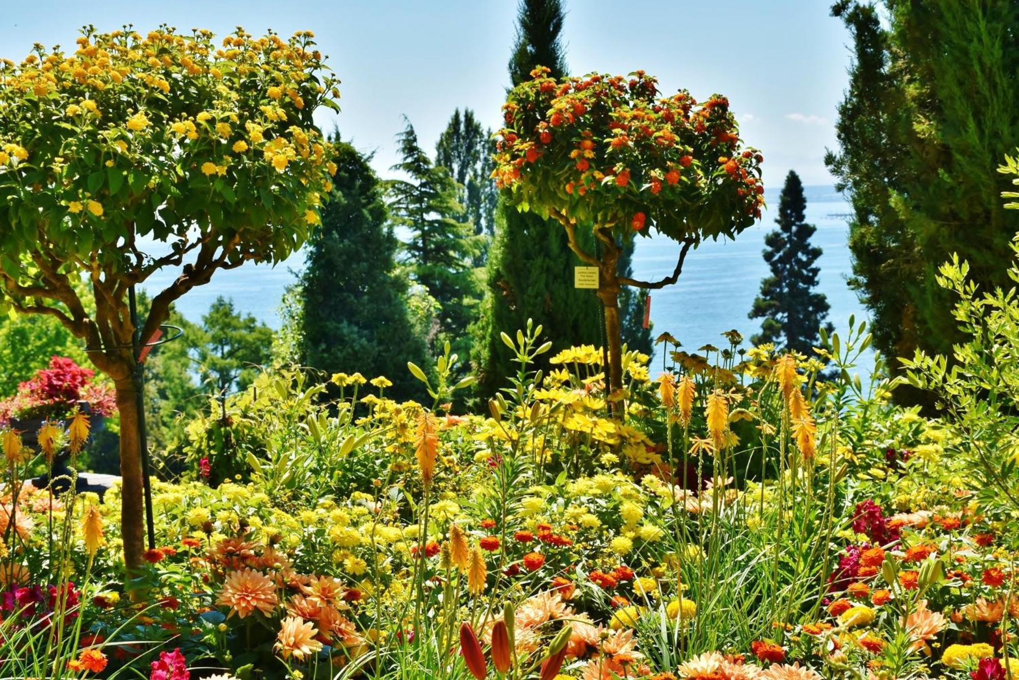 Holiday Inn - The Niu, Flower Konstanz By Ihg Εξωτερικό φωτογραφία